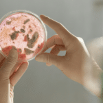 Eureka Moments: Accidental Discoveries that Changed History