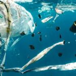 Microplastics: The Invisible Pollutant Threatening Our Planet