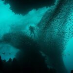 The Fascinating World of Underwater Caves and Their Ecosystems