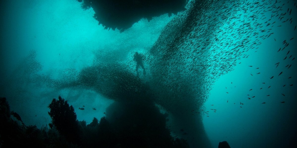 The Fascinating World of Underwater Caves and Their Ecosystems