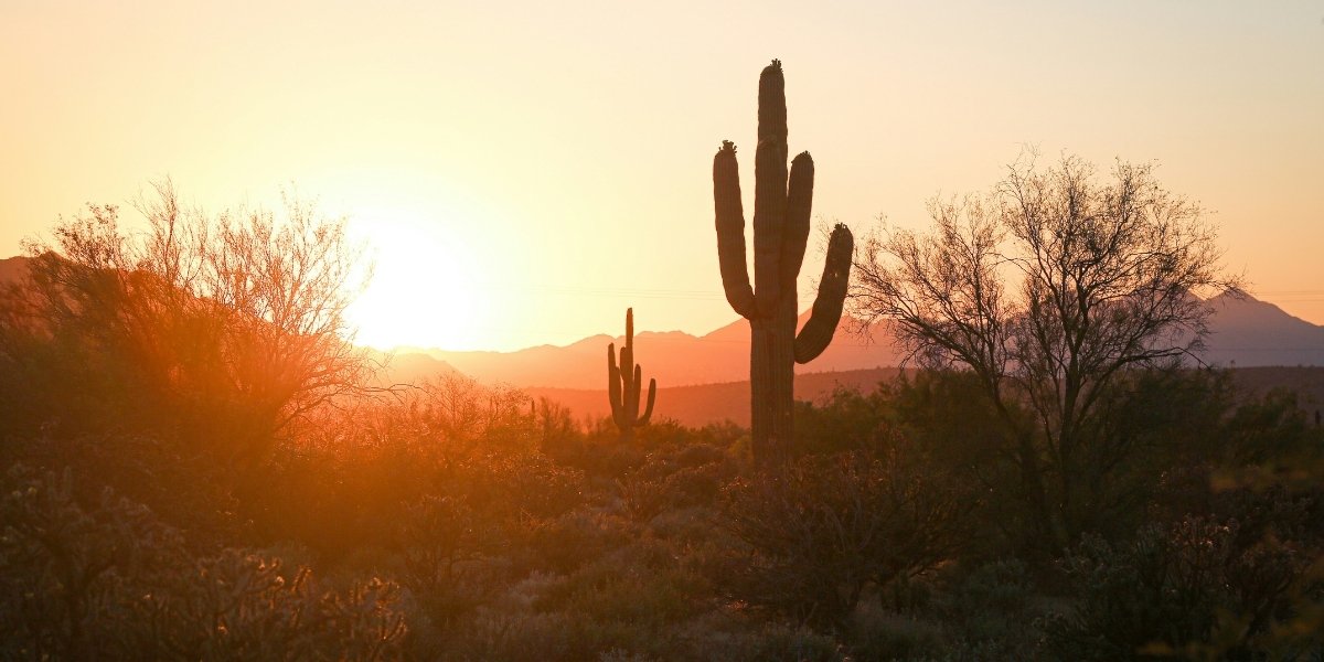 Explore Phoenix’s Best Spring Hikes and Desert Adventures