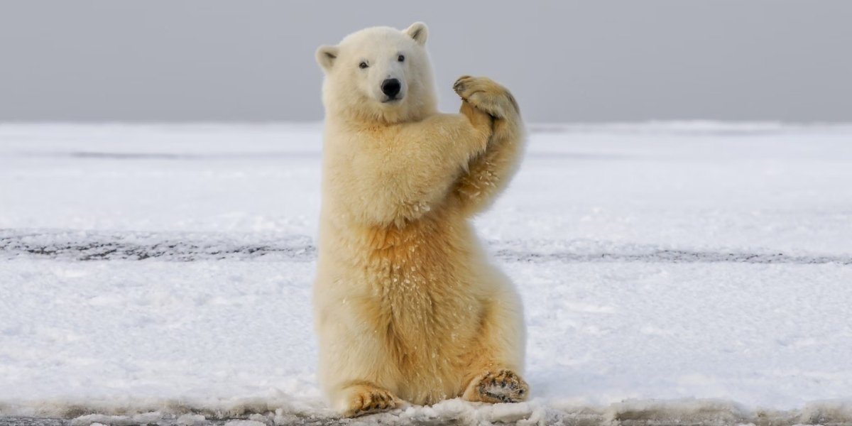 Explore Arctic Ocean: Frontiers of Discovery