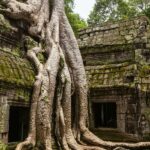 Discover Cambodia’s Rich History and Vibrant Culture