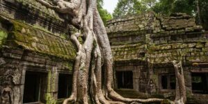 Discover Cambodia’s Rich History and Vibrant Culture