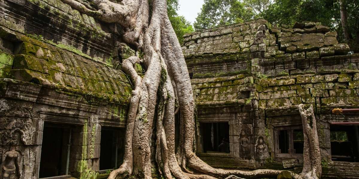 Discover Cambodia’s Rich History and Vibrant Culture