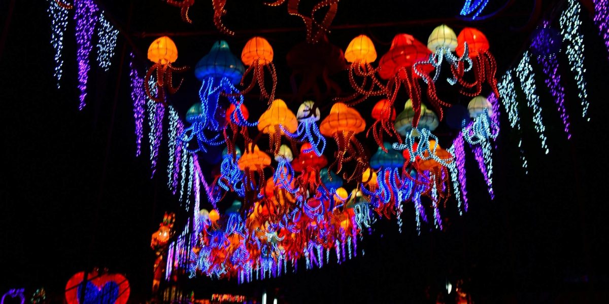 Winter Lantern Festival: What Makes This Celebration in Tysons, Virginia So Unique?