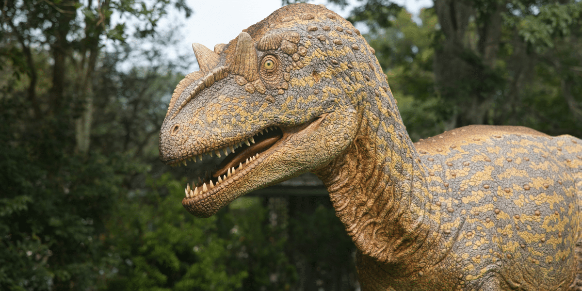 Last Chance to Explore the Jurassic Garden at Fairchild Garden